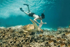 Au départ de Bali : 2D1N Gili Island Private Snorkel Boat with Hotel