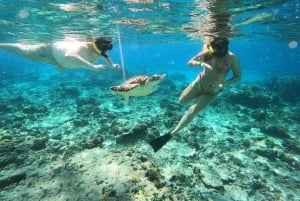 Au départ de Bali : 2D1N Gili Island Private Snorkel Boat with Hotel