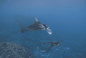 From Bali: 3 Snorkeling Spots Tour to Lembongan and Penida