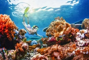 From Bali: 3 Snorkeling Spots Tour to Lembongan and Penida