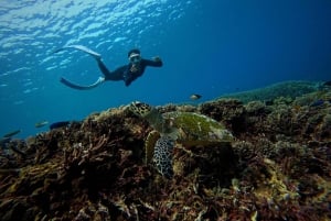 From Bali: 3 Snorkeling Spots Tour to Lembongan and Penida