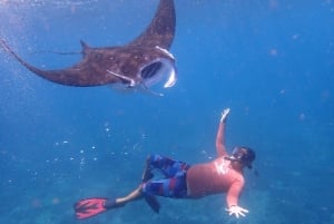 From Bali: 3 Snorkeling Spots Tour to Lembongan and Penida