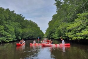 From Bali: 3 Snorkeling Spots Tour to Lembongan and Penida