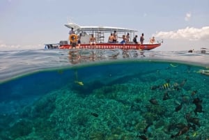 From Bali: 3 Snorkeling Spots Tour to Lembongan and Penida