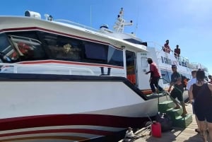 From Bali: 3 Snorkeling Spots Tour to Lembongan and Penida