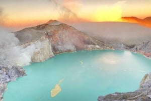 From Bali/Banyuwangi: Ijen Blue Fire Midnight Group Tour