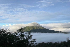From Bali/Banyuwangi: Ijen Blue Fire Midnight Group Tour