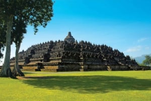 Från Bali: Bromo, Ijen, Borobudur och Yogyakarta 4-dagars tur från Bali
