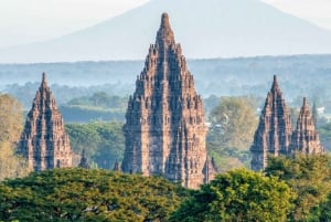 Van Bali: Bromo, Ijen, Borobudur en Yogyakarta 4-daagse tour