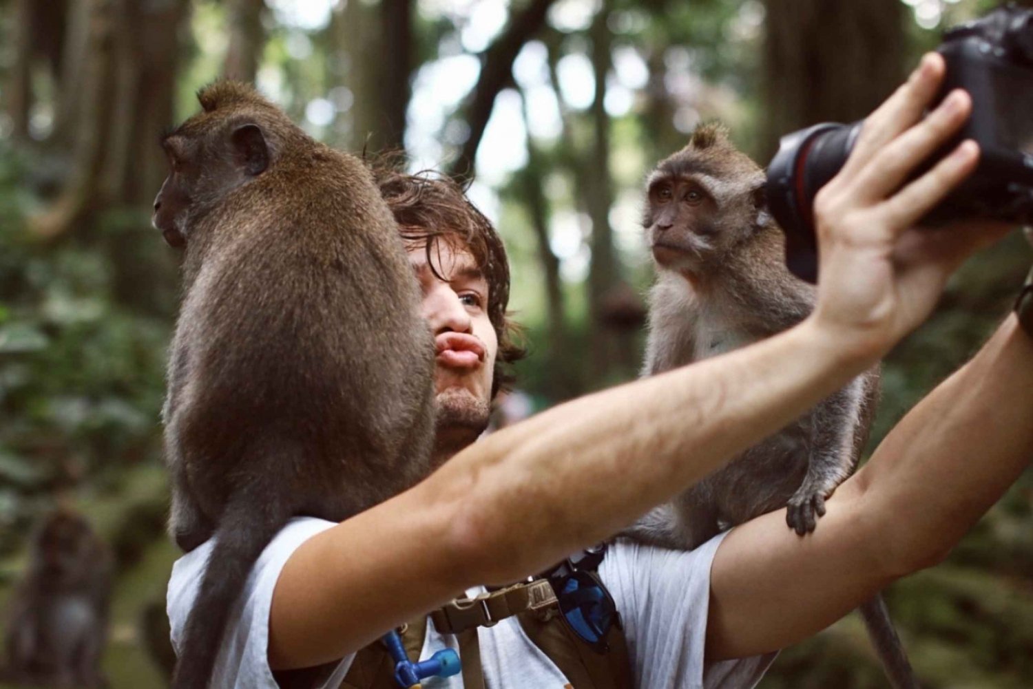 From Bali: Saraswati Temple, Monkey Forest, Ubud Waterfalls