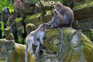 Depuis Bali : Temple de Saraswati, forêt de singes, chutes d'eau d'Ubud