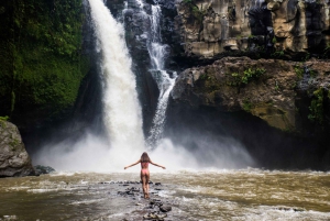 Depuis Bali : Temple de Saraswati, forêt de singes, chutes d'eau d'Ubud