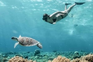 Von Bali aus: Privat Gili Islands Schnorcheln All-Inclusive