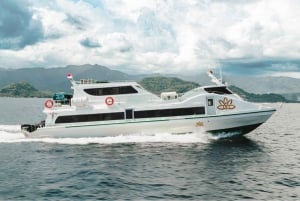 Von Bali aus: Privat Gili Islands Schnorcheln All-Inclusive