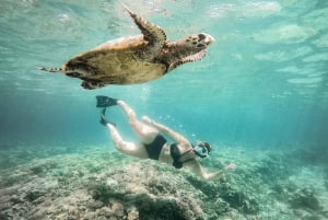 Von Bali aus: Privat Gili Islands Schnorcheln All-Inclusive