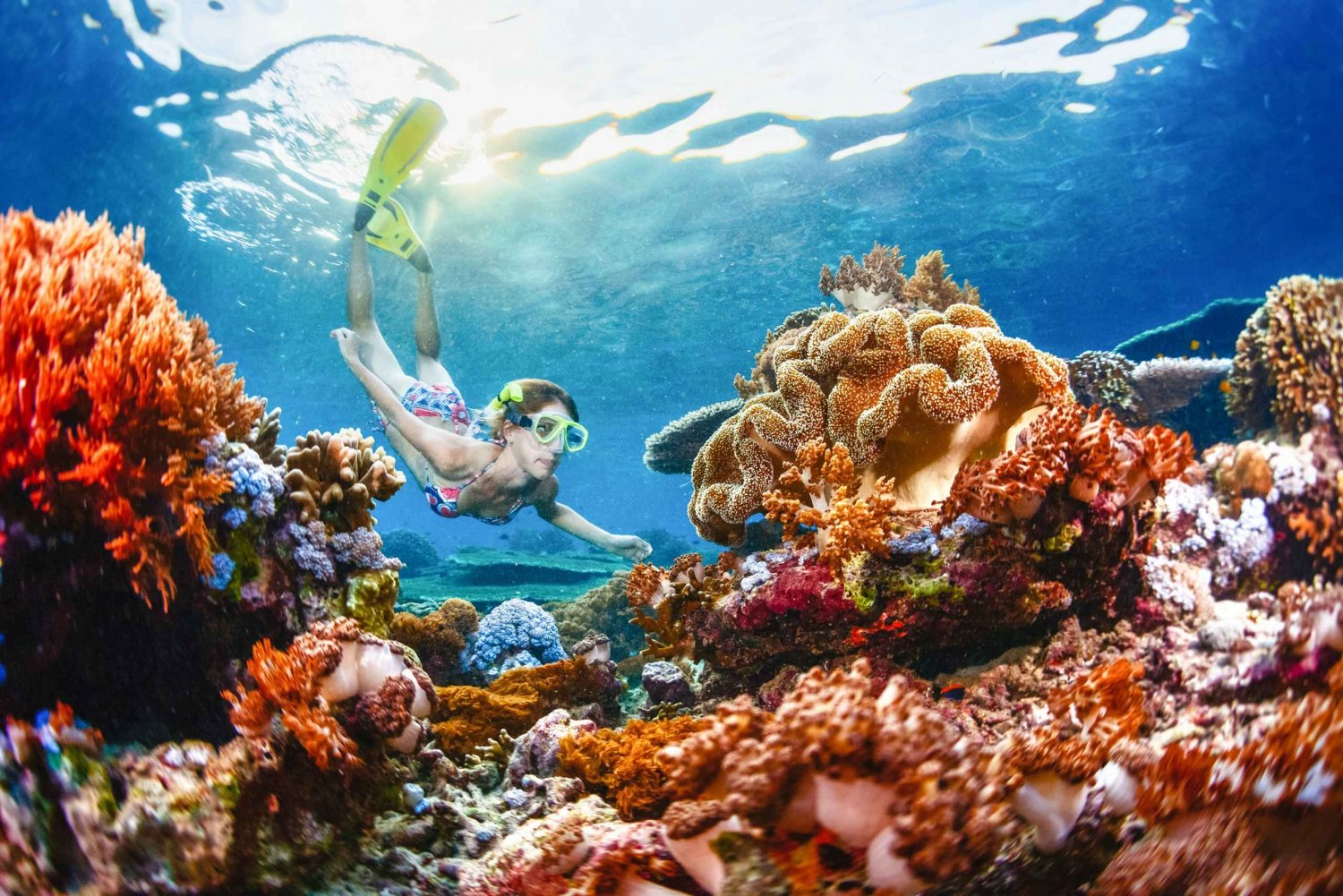 Von Bali aus: Halbtags Schnorcheln 3 Spots auf Lembongan & Penida