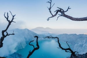 Mount Ijen Tour fra Bali: Opplev den majestetiske blå ilden
