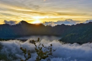 Mount Ijen Tour fra Bali: Opplev den majestetiske blå ilden
