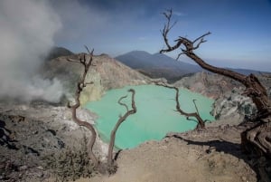 Mount Ijen Tour fra Bali: Opplev den majestetiske blå ilden