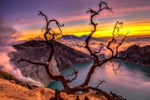 Mount Ijen Tour fra Bali: Opplev den majestetiske blå ilden
