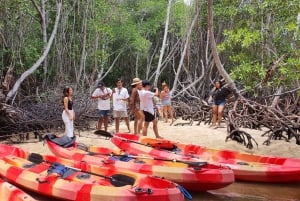 From Bali: Lembongan and Devil's Tears Buggy Tour with Lunch