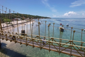 Vanuit Bali: Lembongan & Mangrove Buggy Tour met lunchbuffet