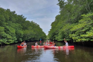 Vanuit Bali: Lembongan & Mangrove Buggy Tour met lunchbuffet