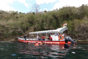 Fra Bali: Lembongan & Penida 2-dages tur med snorkling