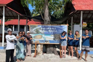 From Bali: Manta Bay Snorkeling & Turtle Education Tour
