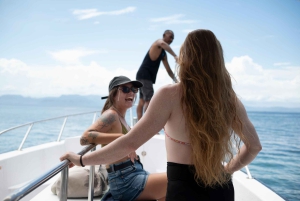 From Bali: Manta Bay Snorkeling & Turtle Education Tour