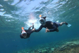 From Bali: Manta Tour in Nusa Lembongan and Nusa Penida