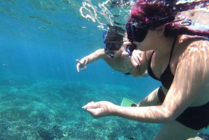 From Bali: Manta Tour in Nusa Lembongan and Nusa Penida
