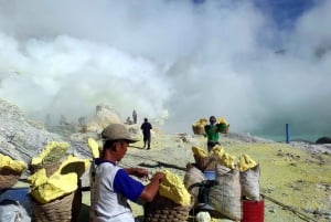 Vanuit Bali: Ijen Vulcano Hike & Blue Fire All Inclusive
