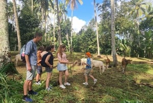 Depuis Bali : Visite nocturne des lucioles et aperçu des cultures balinaises