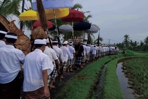 Depuis Bali : Visite nocturne des lucioles et aperçu des cultures balinaises