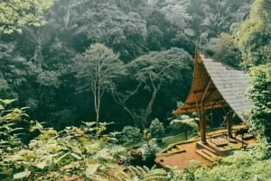 Depuis Bali : Visite nocturne des lucioles et aperçu des cultures balinaises