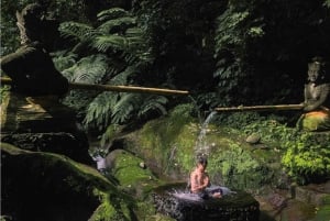 Depuis Bali : Visite nocturne des lucioles et aperçu des cultures balinaises