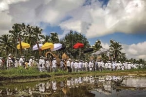 Depuis Bali : Visite nocturne des lucioles et aperçu des cultures balinaises