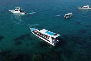 Von Bali aus: Nusa Penida Ganztagestour Private Schnorcheltour