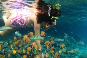 Von Bali aus: Nusa Penida Ganztagestour Private Schnorcheltour