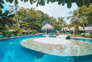 From Bali: Nusa Penida Island Adventure Cruise