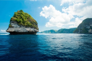 From Bali: Nusa Penida Island Adventure Cruise