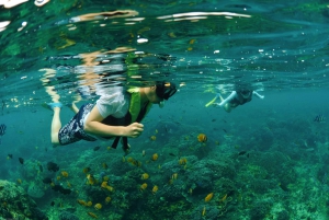 From Bali: Nusa Penida Island Adventure Cruise