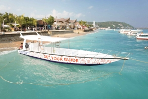 Från Bali: Nusa Penida Manta Point Snorkling och heliga grottor