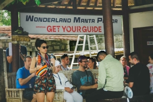 Från Bali: Nusa Penida Manta Point Snorkling och heliga grottor