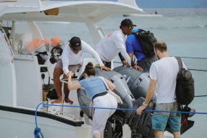 Från Bali: Nusa Penida Manta Point Snorkling och heliga grottor