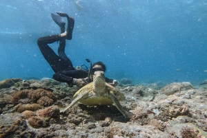 Från Bali: Nusa Penida Manta Point Snorkling och heliga grottor