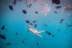 Från Bali: Nusa Penida Manta Point Snorkling och heliga grottor