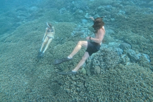 Från Bali: Nusa Penida Manta Point Snorkling och heliga grottor