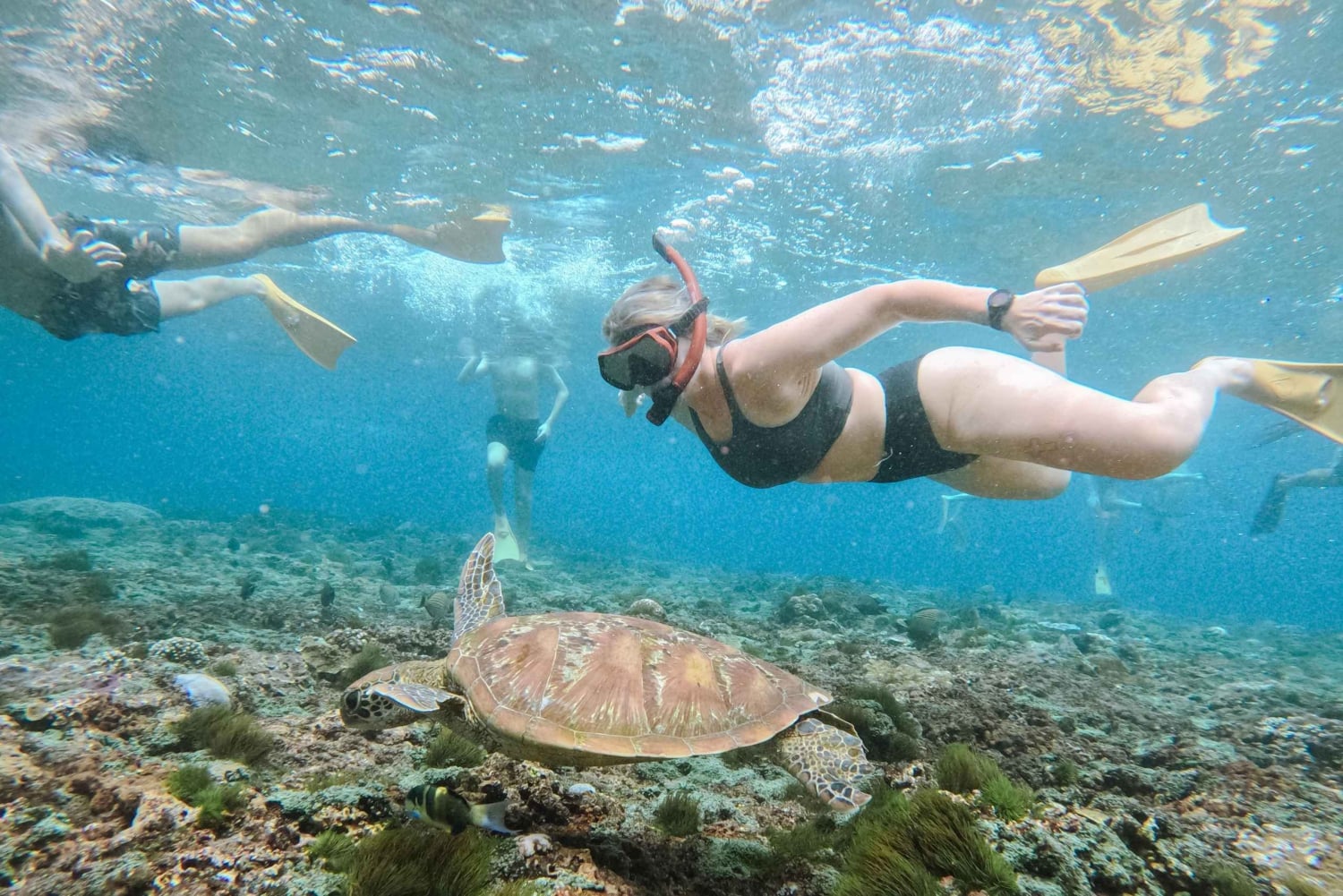 Balilta: Nusa Penidan manttojen snorklaus ja yksityinen venekierros